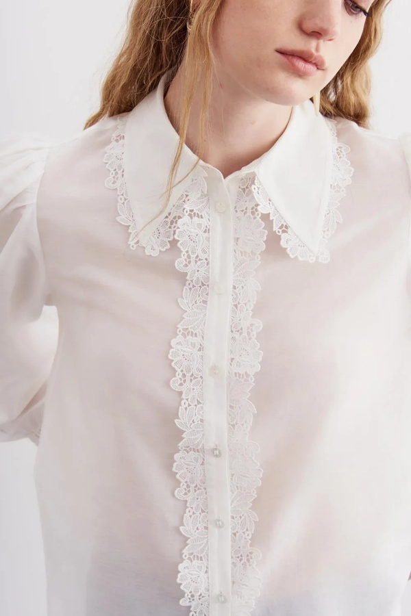 camisa darcy