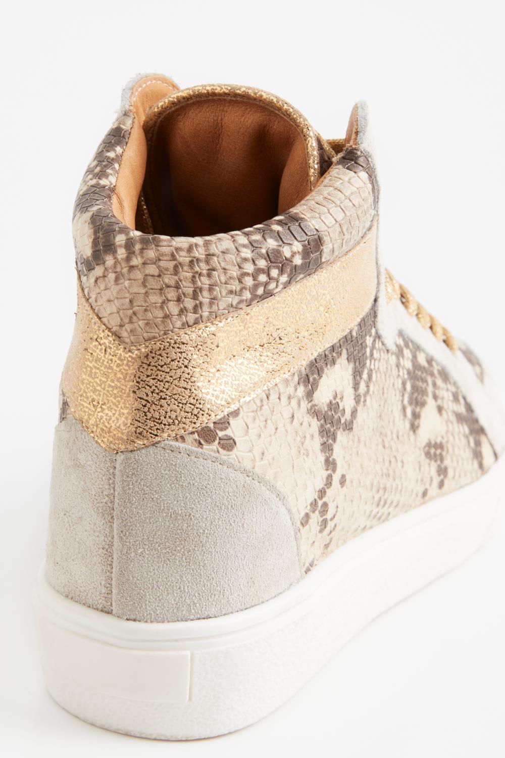 Zapatilla Ray