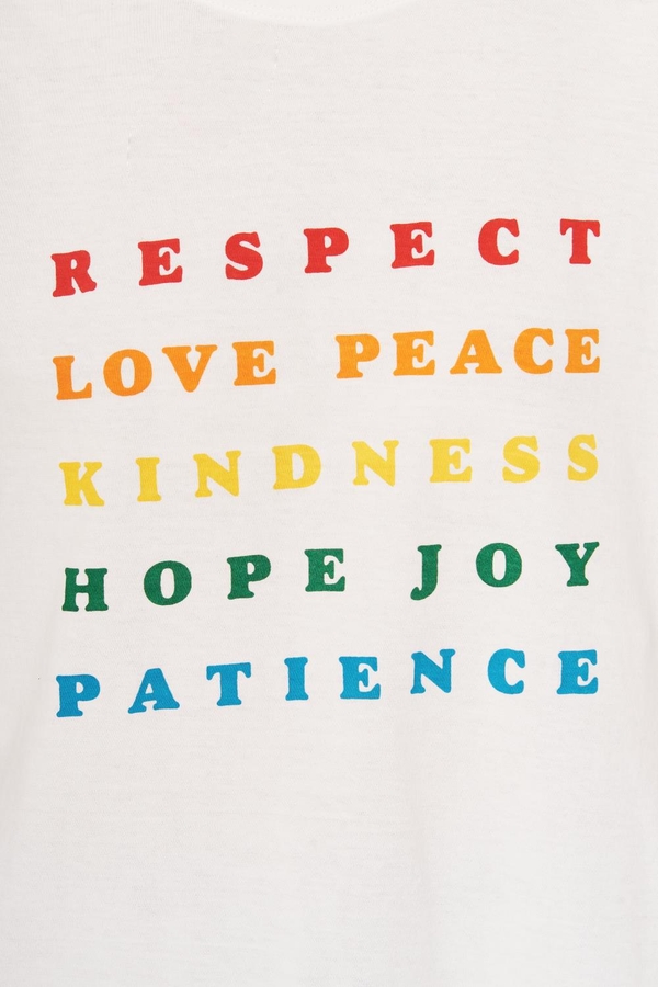 remera love pride